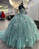 Diynav 3D Flowers Ball Gown,Princess Dress,Sweet 16 Dress HZ1017