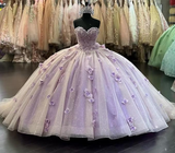 Diynav 3D Flowers Ball Gown Quinceanera Dresses Puff Long Sleeves HZ1017
