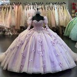 Diynav 3D Flowers Ball Gown Quinceanera Dresses Puff Long Sleeves HZ1017