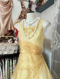 Glam Butter Yellow Evening Gowns Round Neck A-Line Tulle Party Dress HZ1108