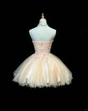 Elegant Sweetheart Neck A-Line Tulle Lace Short Prom Dress Homecoming Dress HZ1108