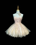 Elegant Sweetheart Neck A-Line Tulle Lace Short Prom Dress Homecoming Dress HZ1108