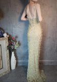 Stunning Spaghetti Straps Sheath Beaded Chiffon Long Prom Dresses Elegant Formal Evening Gowns with 3D Appliques HZ1108