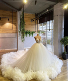 Diynav A-line Tulle Ball Gown Puffy Dress Sweet 16 Dress HZ1017