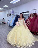 Diynav 3D Flowers Ball Gown Dress Sweet 16 Dress HZ1017
