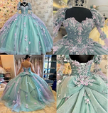 Diynav 3D Flowers Ball Gown Quinceanera Dresses Puff Long Sleeves HZ1017