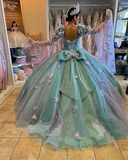 Diynav 3D Flowers Ball Gown Quinceanera Dresses Puff Long Sleeves HZ1017