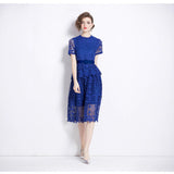 Diynav Court Style Temperament Short-Sleeved Round-Neck Waist Thin A-Word Hook Lace Dress Elegant Dress