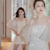 Diynav Dress 2024 New Pompous Fine Shiny Dress Heavy Industry Bubble Sleeve Birthday Dress Adult Dress