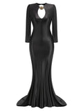 Diynav Women's Sexy V-Necked Long-Sleeved Banquet Evening Dress Dress Body-Dragging Skirt