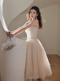 Diynav Dress 2024 New Extreme Day Meteor Fine Shiny Piece Hanging Dress Birthday Ceremony Fairy Dress
