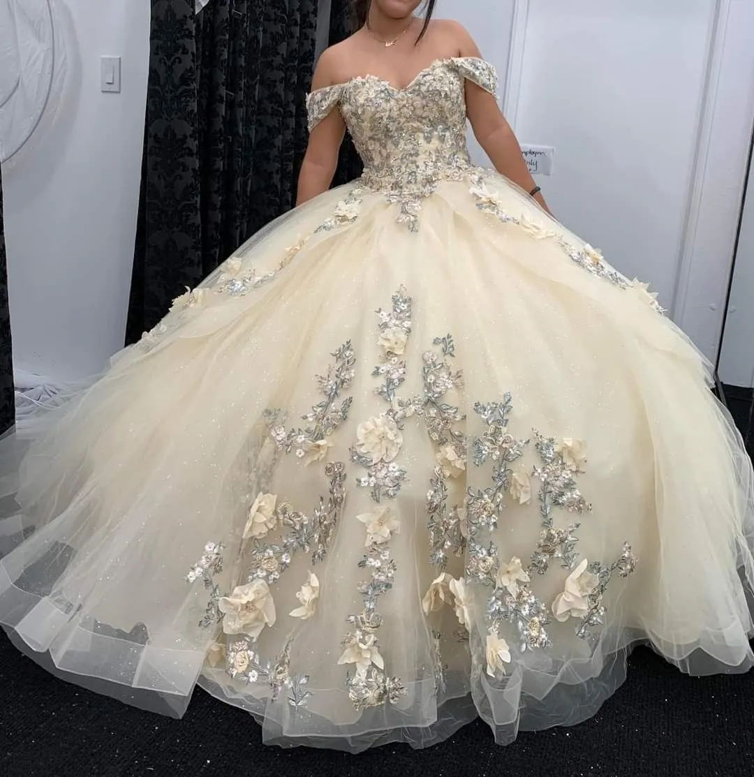 Diynav The Shoulder Appliques Tulle Ball Gown,Sweet 16 HZ1017