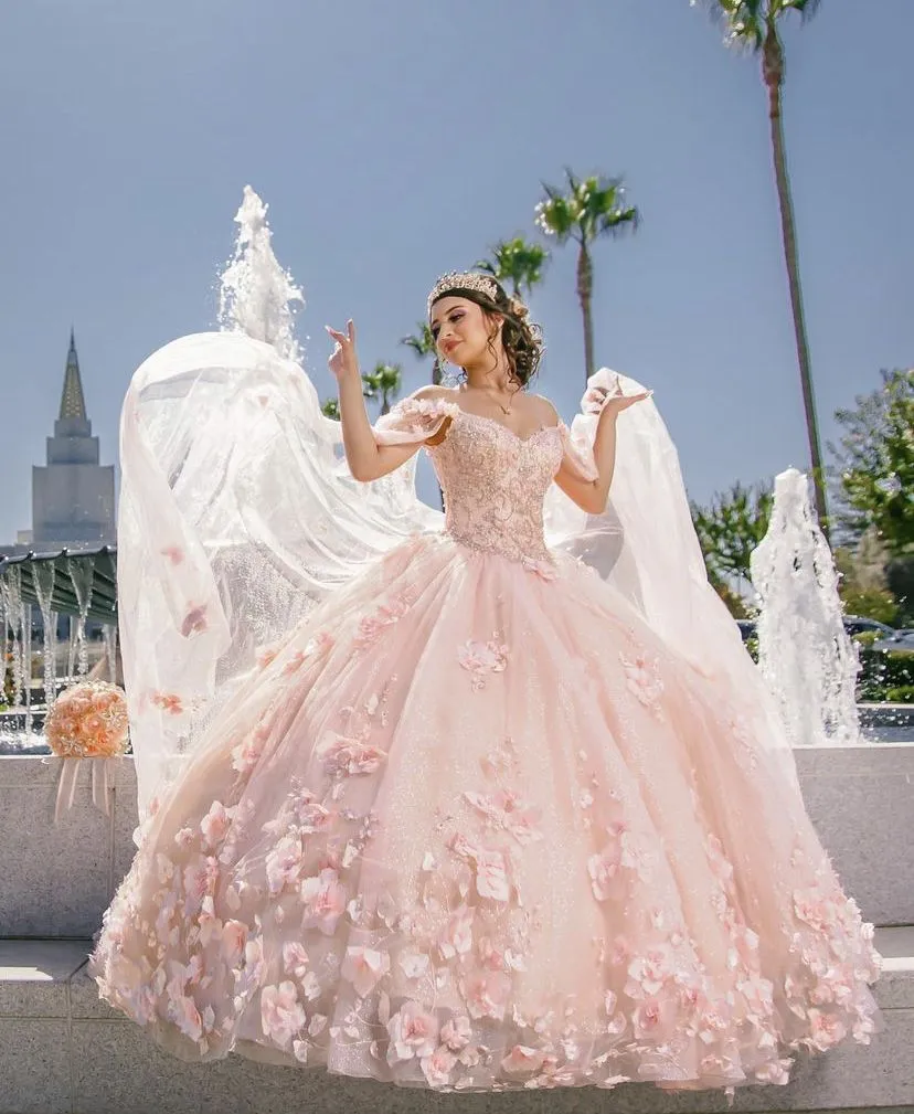 Diynav Sweet 16 Dress,Pink Ball Gown With 3D Flowers,Pink Princess Dress HZ1017