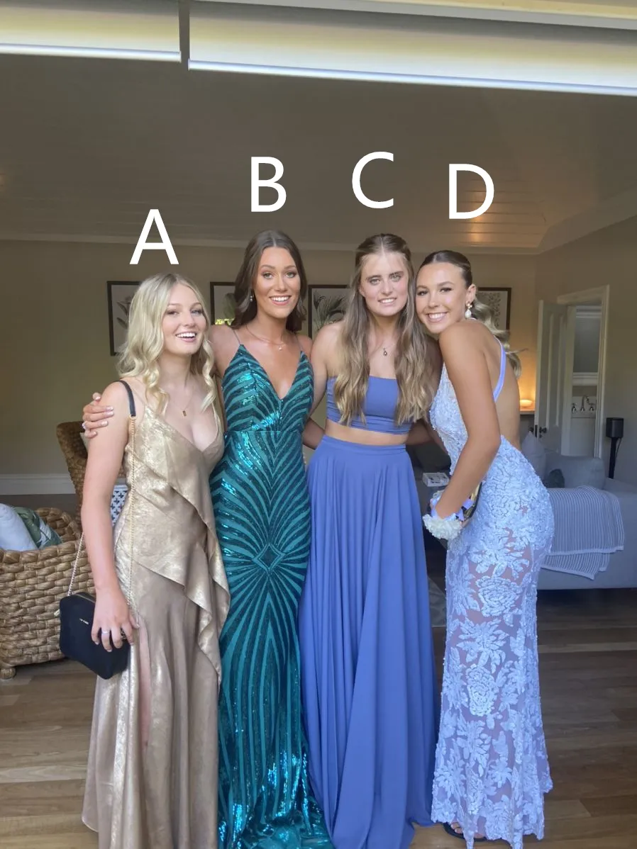 Diynav Style Prom Dress Evening Dress Gala Dress HZ1017