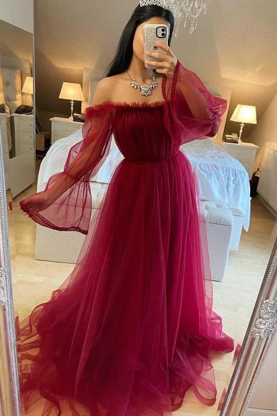 Diynav Tulle Evening Dress With Long Sleeves HZ1017
