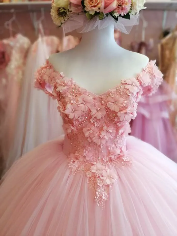 Diynav Pink Tulle Ball Gown with Appliques HZ1017