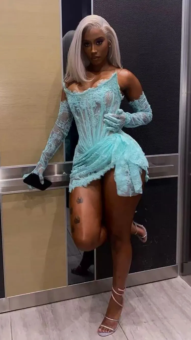 Diynav Lace Homecoming Dress Chic Homecoming Dress HZ1017