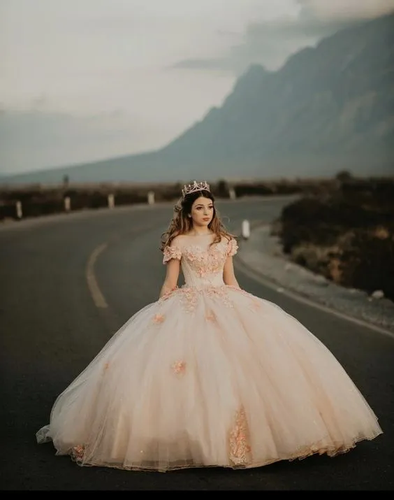 Diynav Off The Shoulder Tulle Appliques Ball Gown Princess Dress Sweet 16 Dress HZ1017