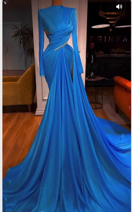 Diynav Mermaid Long Sleeves Evening Dress Pageant Dress HZ1017