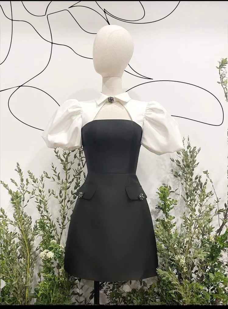 Diynav Arrival A-line Homecoming Dress,Puffy Sleeves Graduation Dress HZ1017