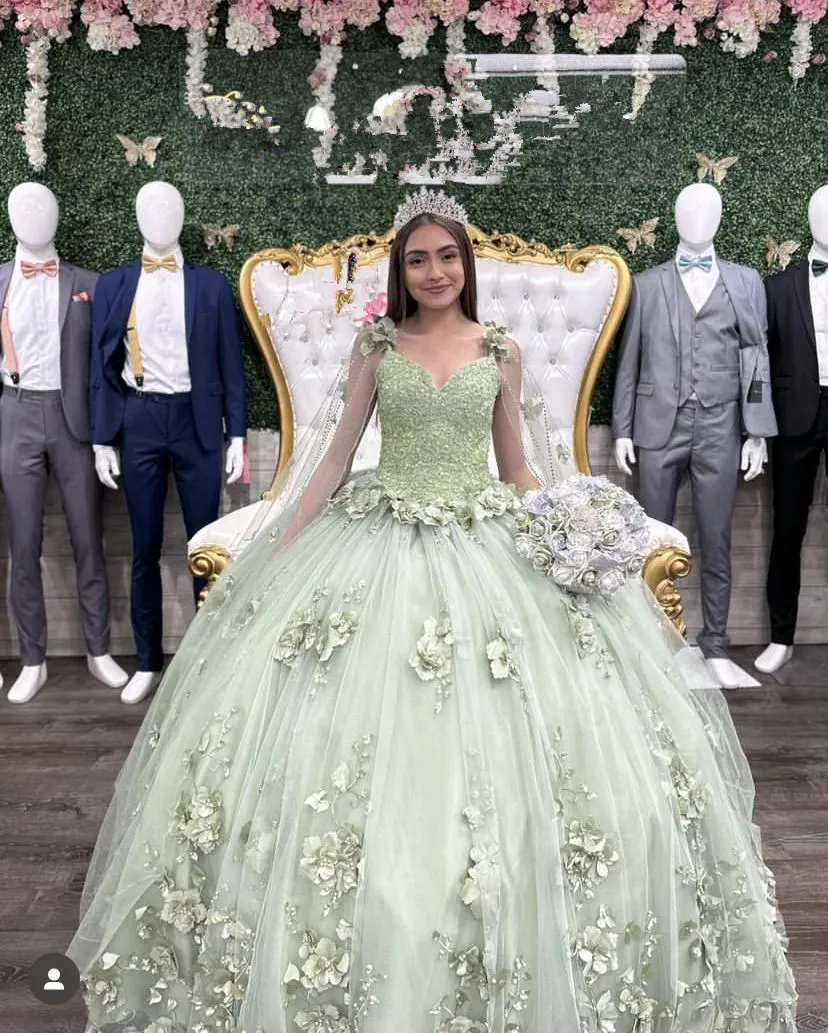 Diynav Sage Green Ball Gown,Sweet 16 Dress,3D Flowers Princess Dress HZ1017