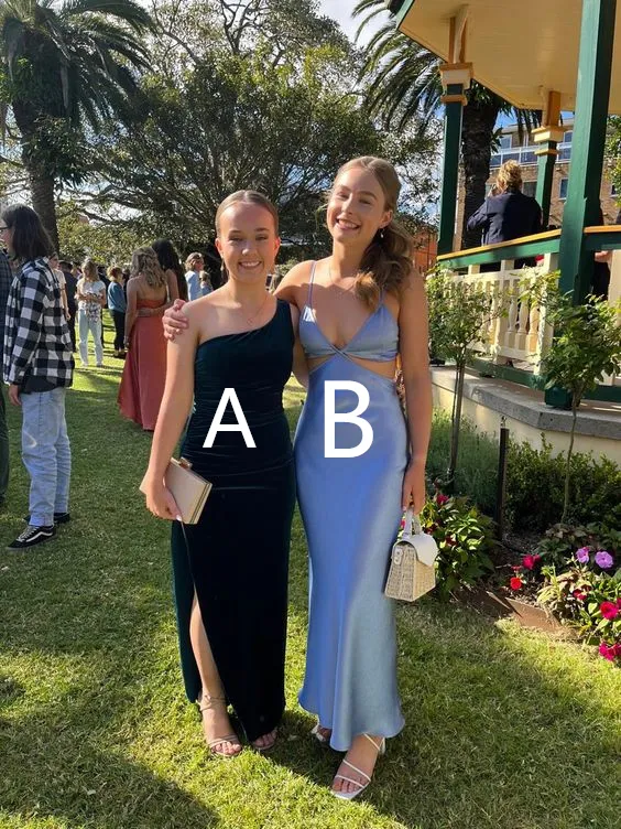 Diynav Style Prom Dress,Elegant Evening Dress,Formal Gown HZ1017