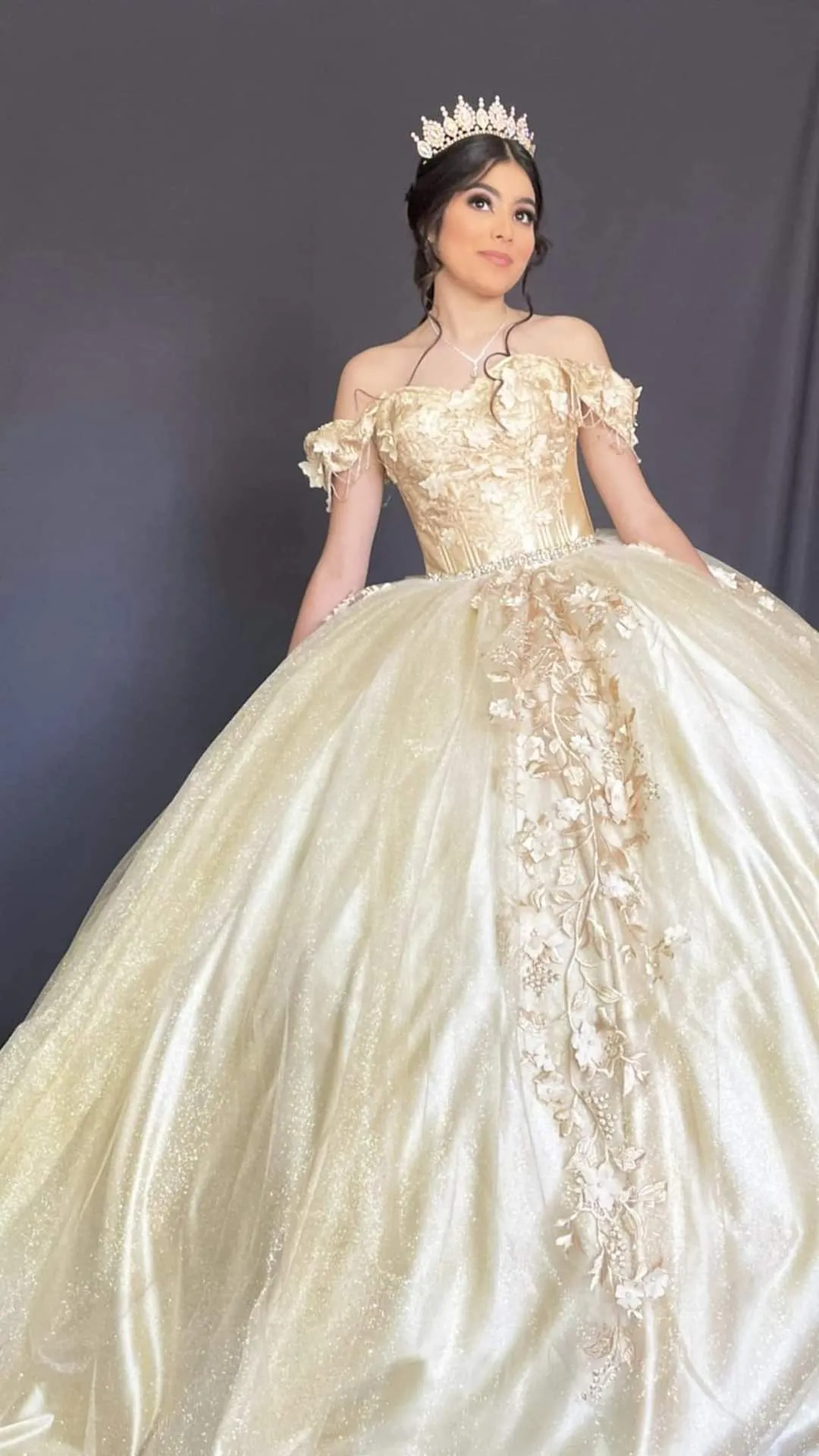 Diynav Off The Shoulder Appliques Ball Gown Sweet 16 Dress HZ1017