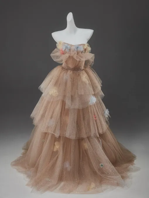 Champagne A-Line Off Shoulder Tulle Sequin Long Ball Dress Cute Layered Dress HZ1108