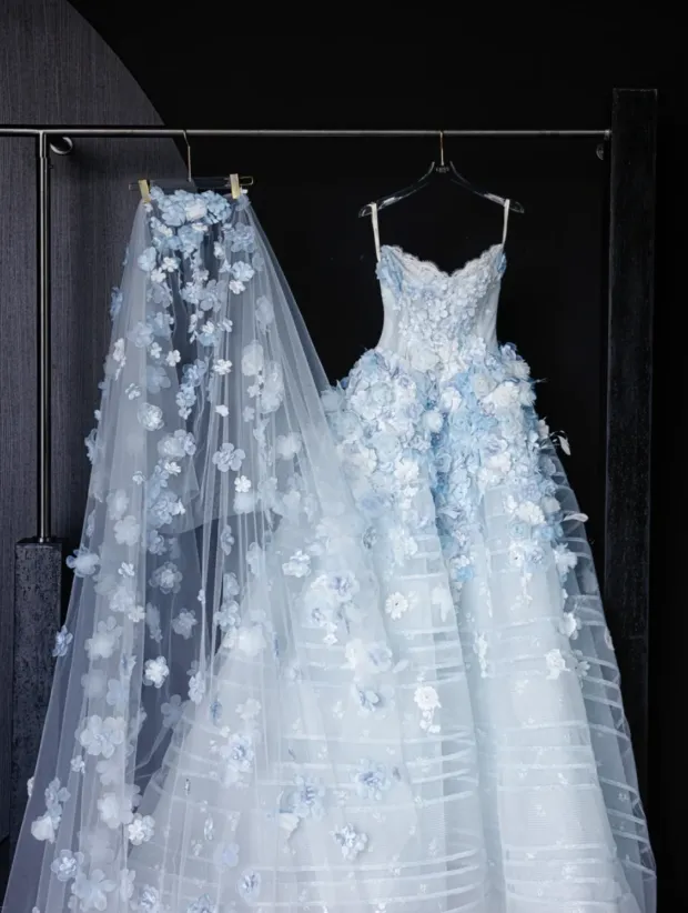 Fairytale White Tulle Strapless A-Line 3D Applique Trailing Wedding Dress HZ1108 - Image 2