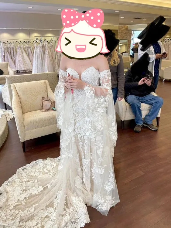 Diynav high-quality mermaid lace embroidery fairy wedding dress HZ1017