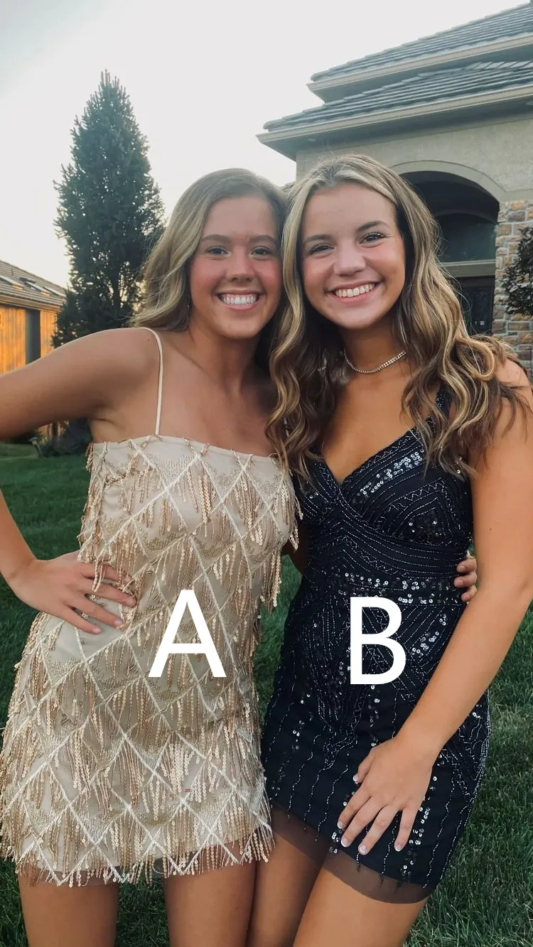 Diynav Sequins Homecoming Dress,Sheath Party Dress HZ1017