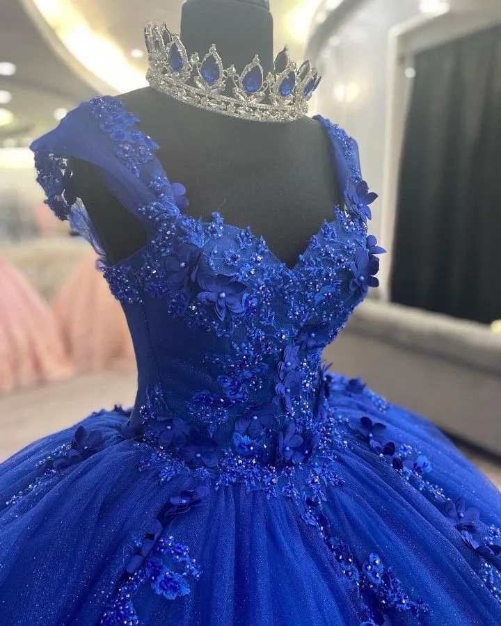 Diynav Blue Appliques Tulle Ball Gown,Sweet 16 Dress,Princess HZ1017