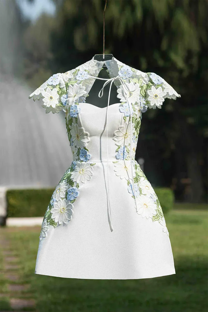 Diynav Short Sleeved Mini Homecoming Dress HZ1017