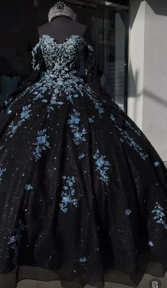 Diynav Black and Light Blue Quinceanera Dress Princess Dress Sweet 16 Dress Ball Gown HZ1017