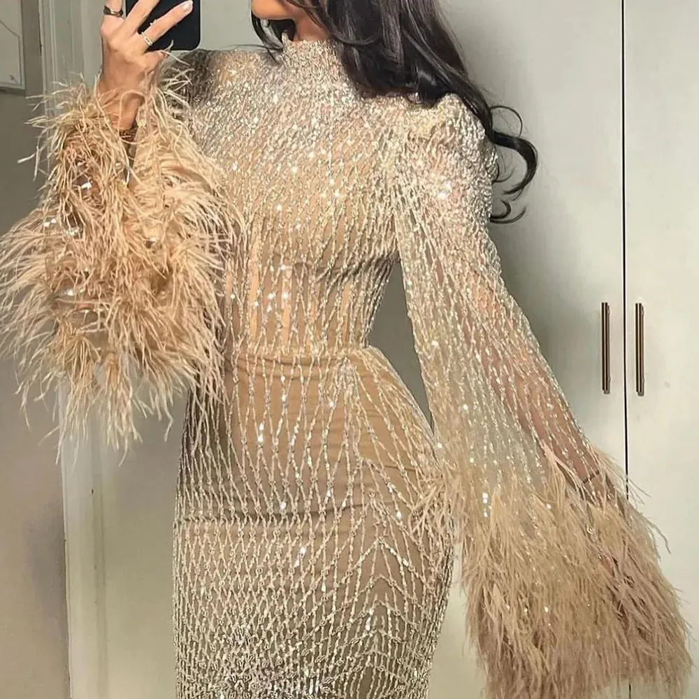 Diynav Dubai Feathers Nude Evening Dresses Long Sleeves HZ1017