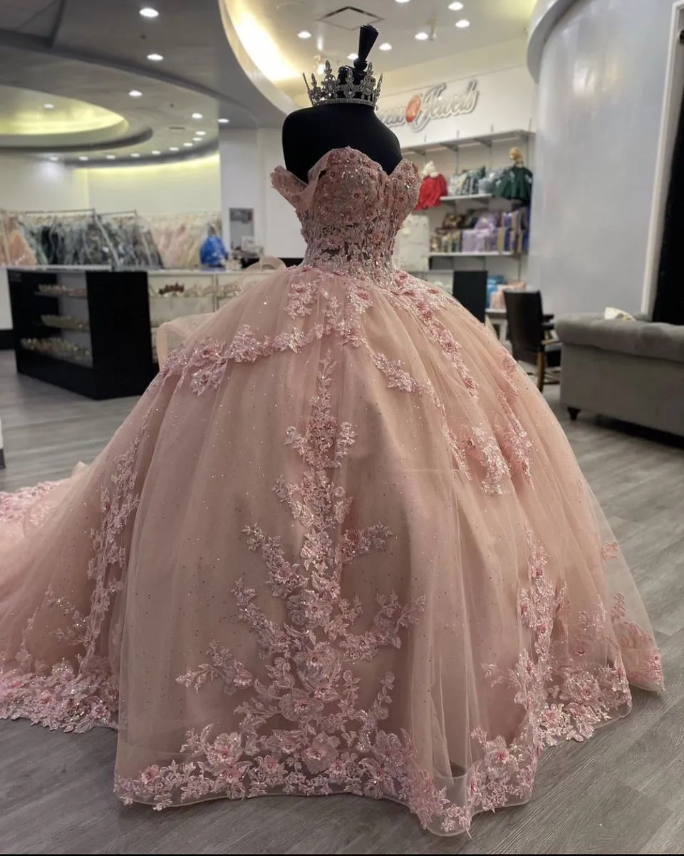 Diynav Pink Appliques Ball Gown,Pink Princess Dress HZ1017