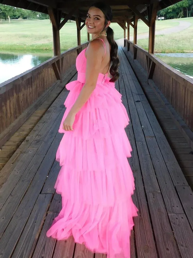 Diynav Open Back Layered Pink Long Prom Dresses Pink Formal Graduation Evening Dresses HZ1017 - Image 2