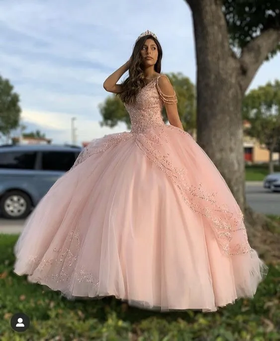 Diynav Princess Ball Gown Quincea��?era Dress Sweet 16 Dress HZ1017