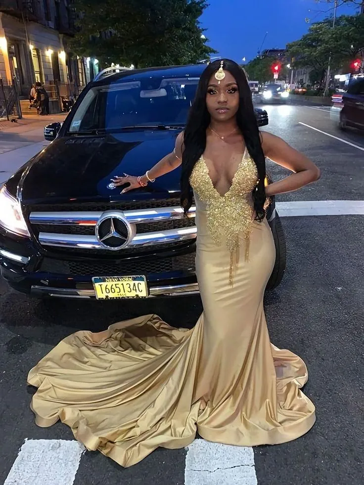 Diynav Mermaid V Neck Evening Dress,Sexy Evening Gown HZ1017